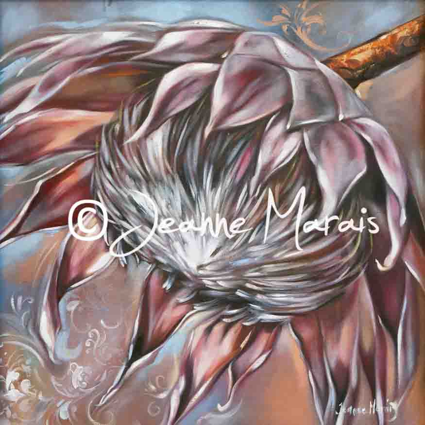 Protea ego - Jeanne Marais