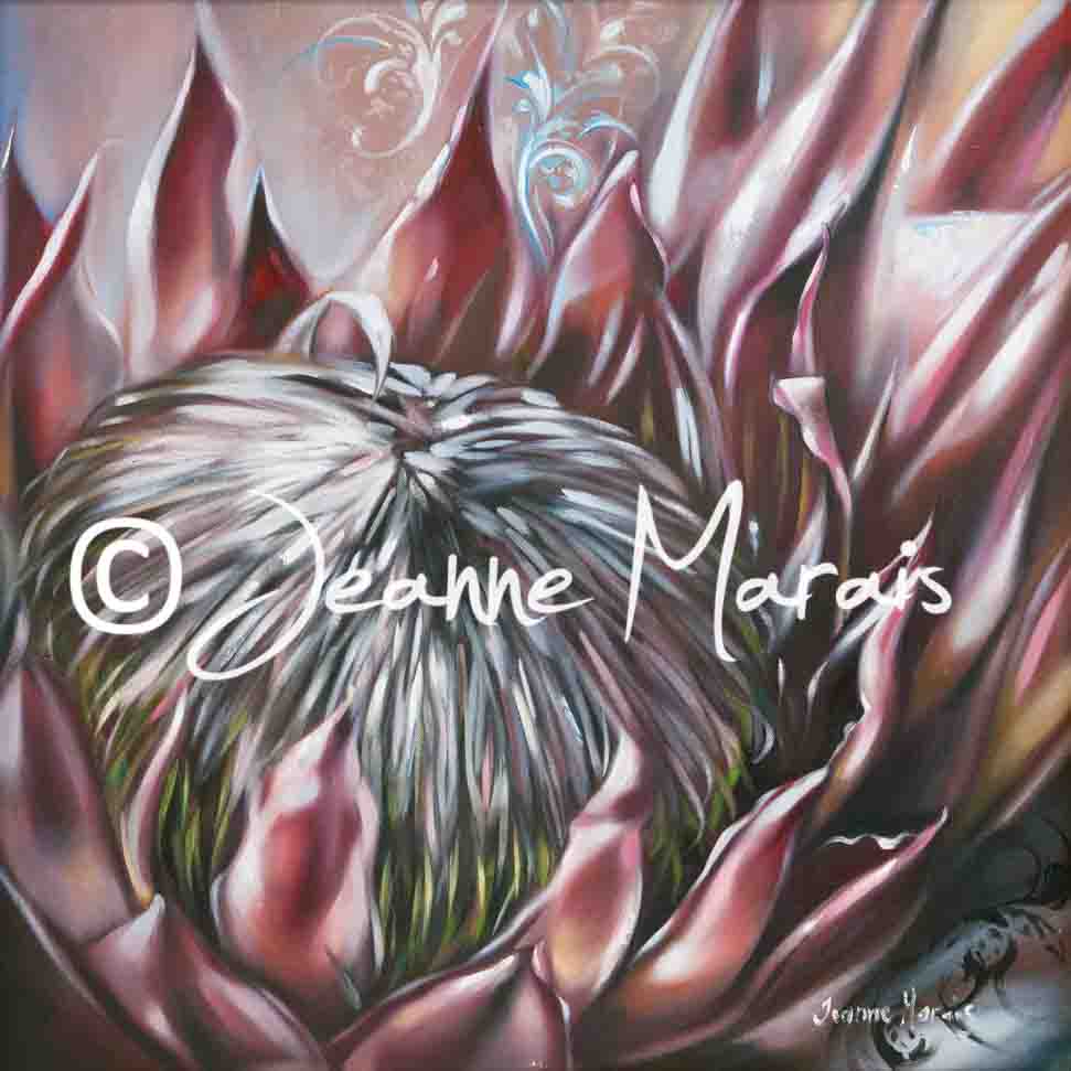 Protea prestige - Jeanne Marais