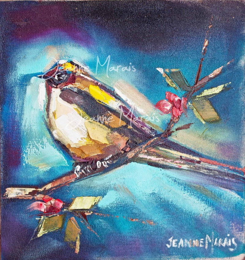 White sparrows right - Jeanne Marais