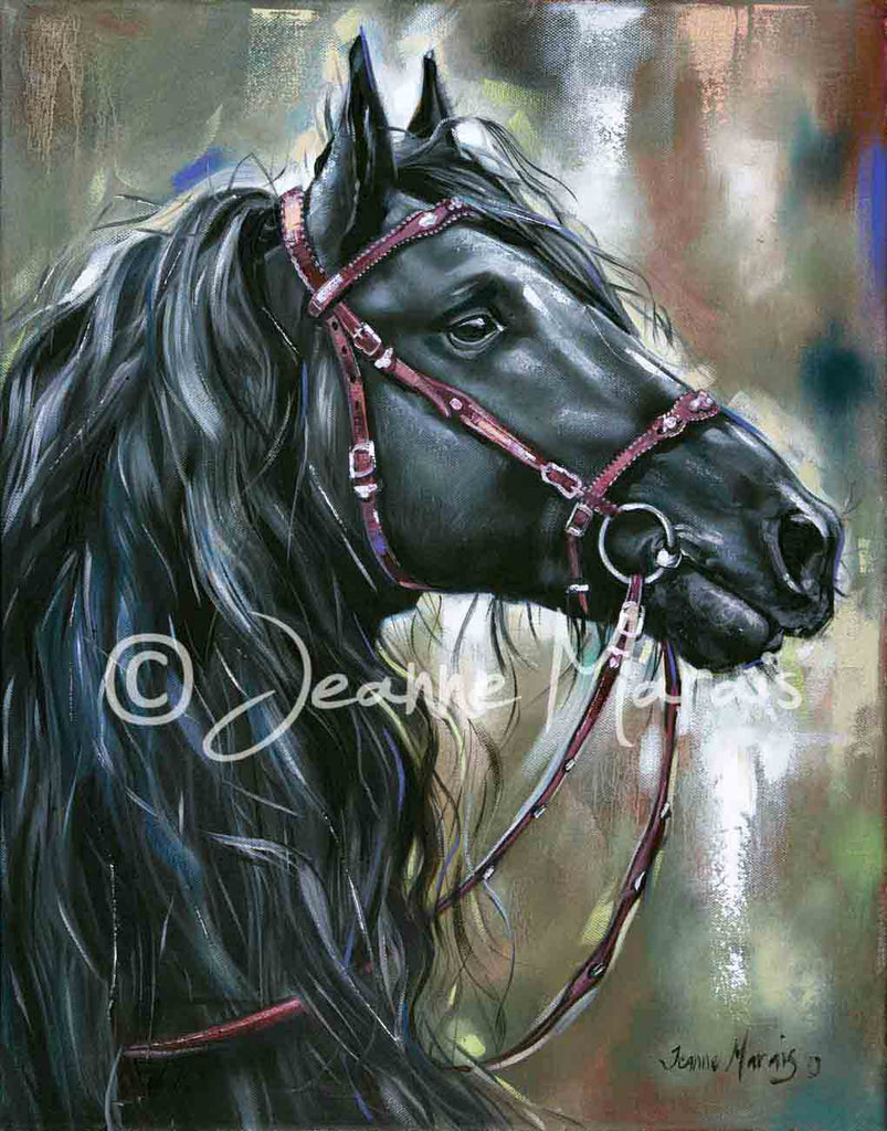 Friesian horse close-up