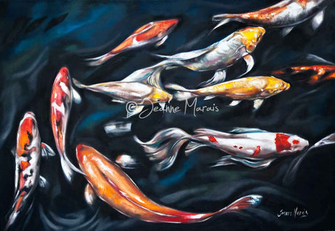 Koi