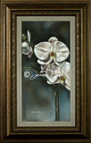 Orchids two - Jeanne Marais