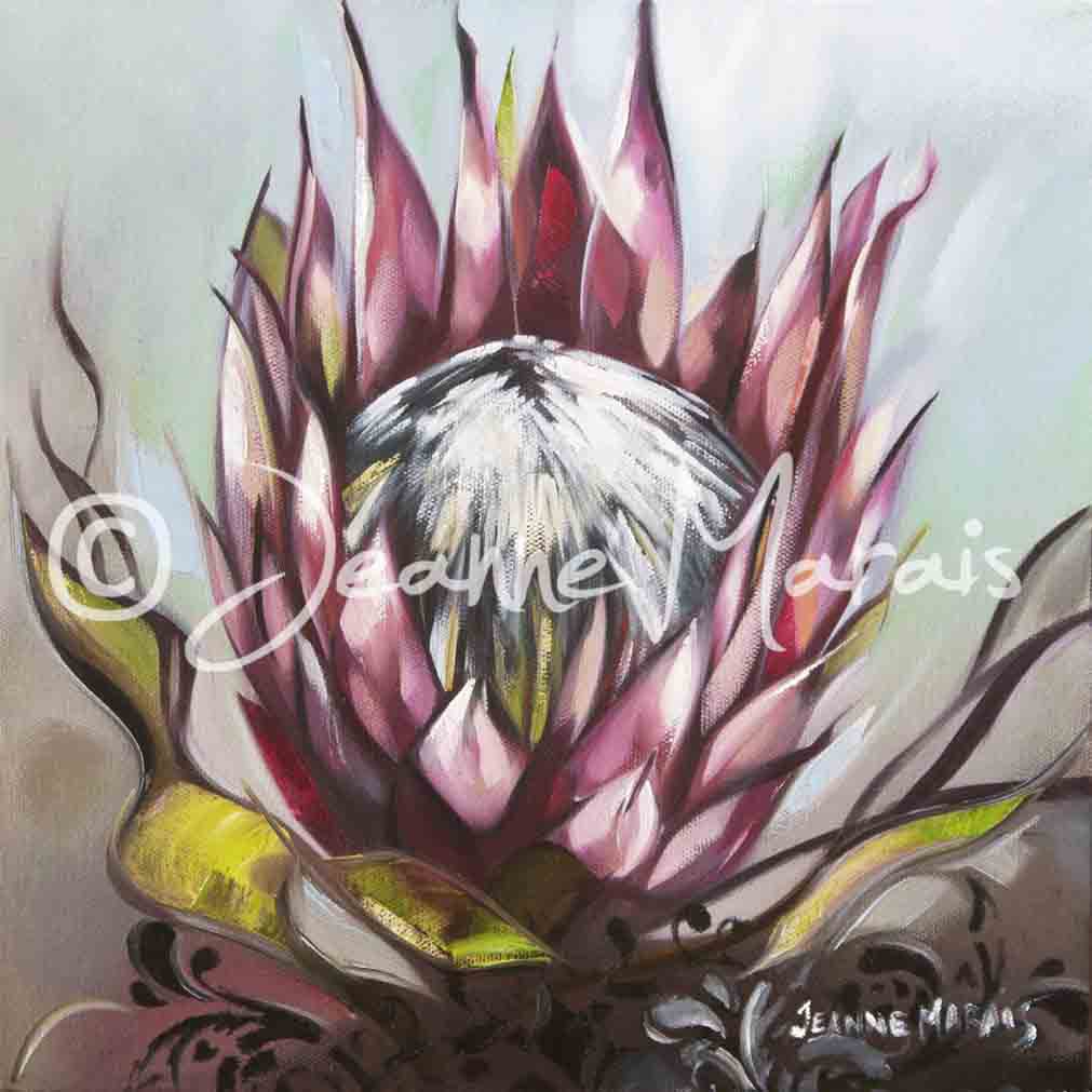 Protea triptych one