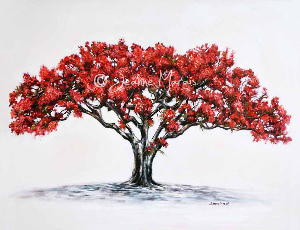 Transvaal coral